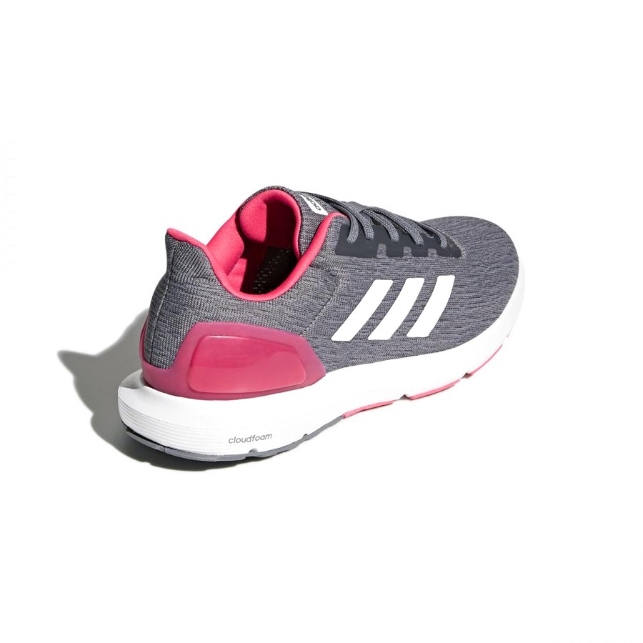 COSMIC 44663 GRIS ROSA